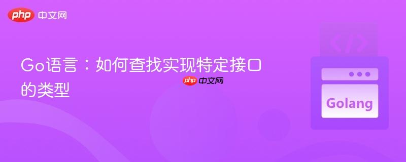 Go语言：如何查找实现特定接口的类型
