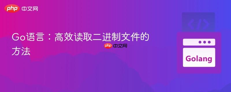 Go语言：高效读取二进制文件的方法