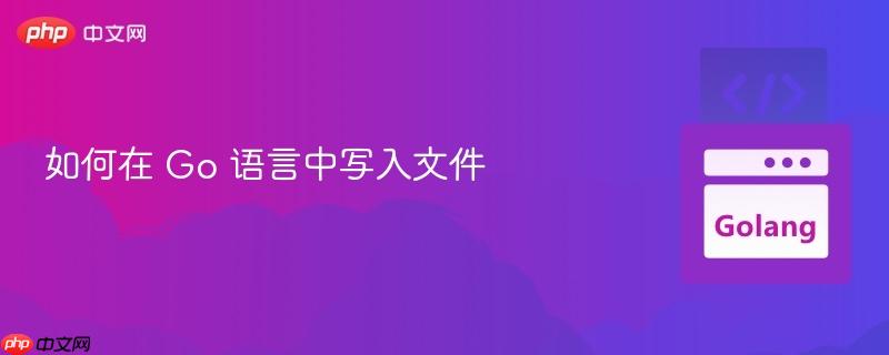 如何在 Go 语言中写入文件