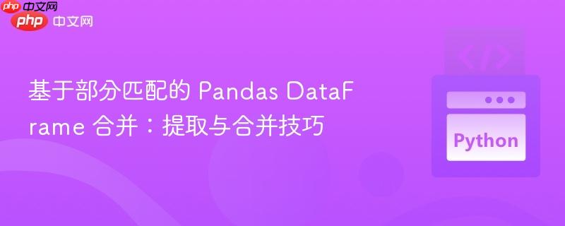 基于部分匹配的 Pandas DataFrame 合并：提取与合并技巧
