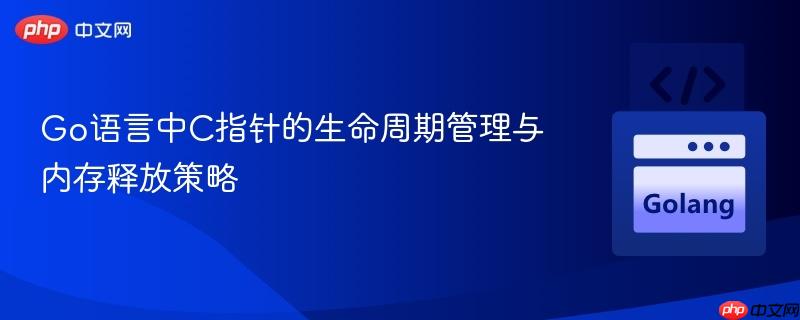 Go语言中C指针的生命周期管理与内存释放策略