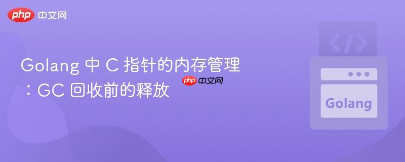 Golang 中 C 指针的内存管理：GC 回收前的释放