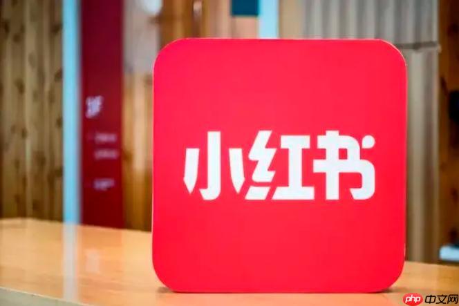 小红书千帆PC端加载慢怎么办_小红书千帆PC端页面加载速度优化方法
