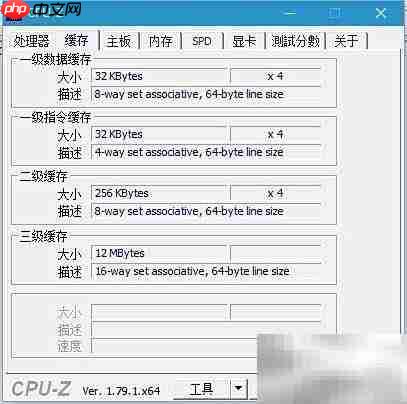 CPU-Z使用指南
