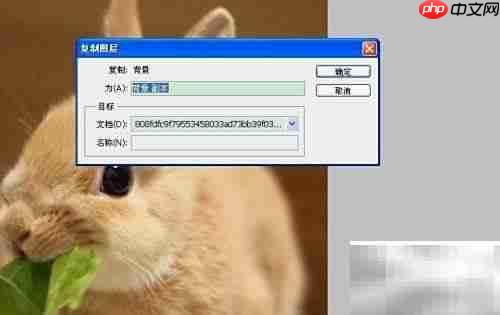 3D红蓝图制作技巧