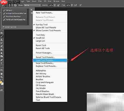 Photoshop载入画笔教程