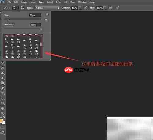 Photoshop载入画笔教程