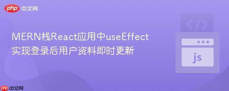 MERN栈React应用中useEffect实现登录后用户资料即时更新