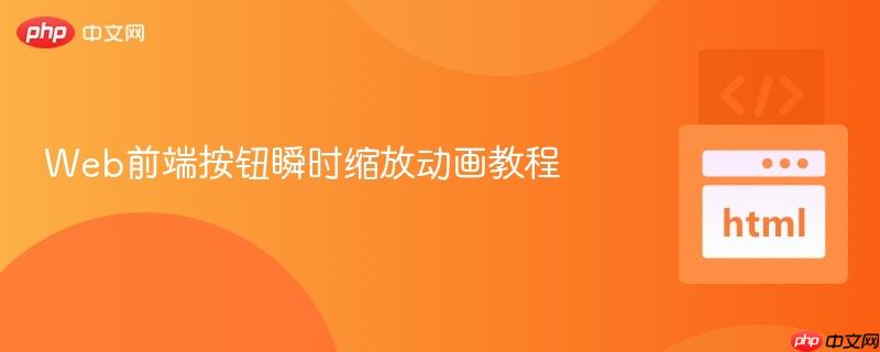 Web前端按钮瞬时缩放动画教程