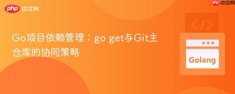 Go项目依赖管理：go get与Git主仓库的协同策略