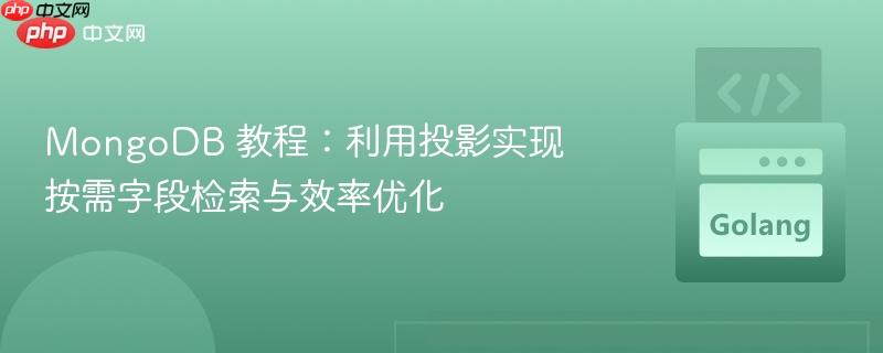 MongoDB 教程：利用投影实现按需字段检索与效率优化