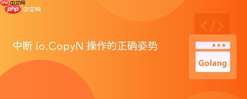 中断 io.CopyN 操作的正确姿势