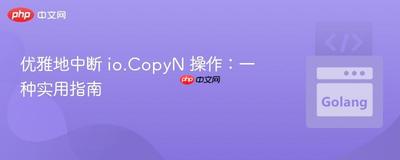 优雅地中断 io.CopyN 操作：一种实用指南