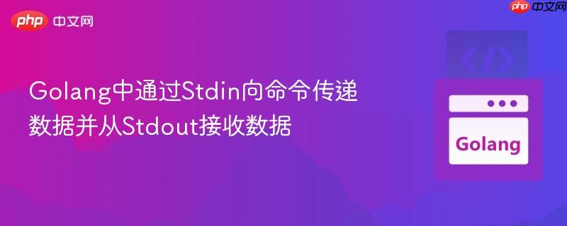 Golang中通过Stdin向命令传递数据并从Stdout接收数据
