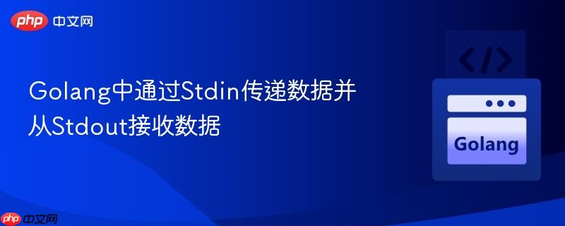 Golang中通过Stdin传递数据并从Stdout接收数据
