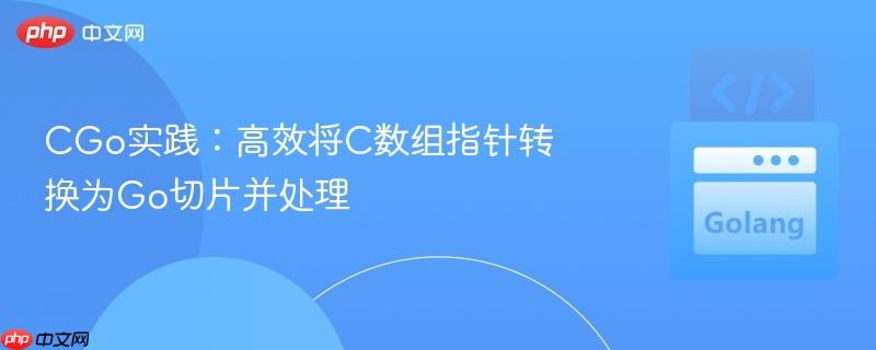 CGo实践：高效将C数组指针转换为Go切片并处理