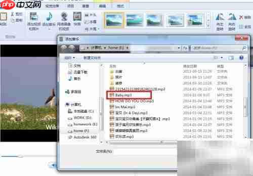 快速制作影片：Win Live电影制作