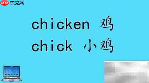 小动物英文名称大全