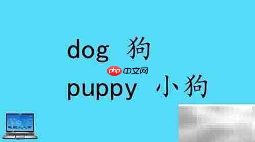 小动物英文名称大全