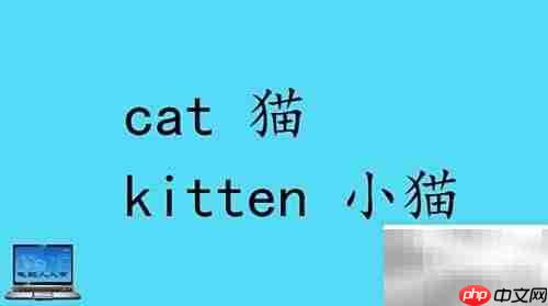 小动物英文名称大全