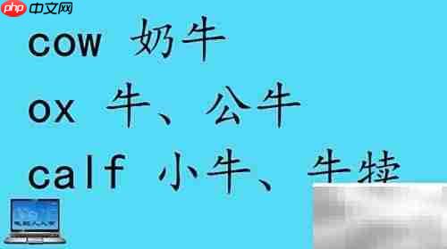 小动物英文名称大全