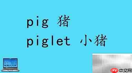 小动物英文名称大全