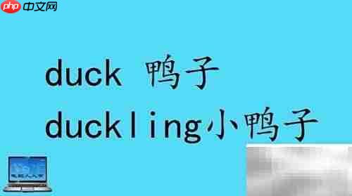 小动物英文名称大全