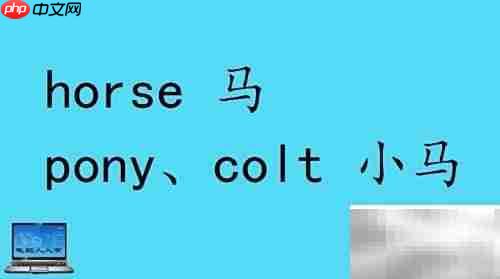 小动物英文名称大全