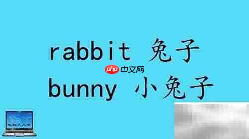 小动物英文名称大全