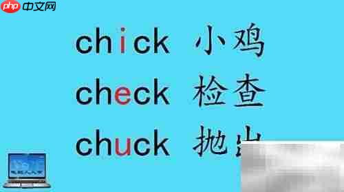 小动物英文名称大全