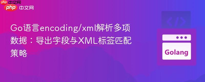 Go语言encoding/xml解析多项数据：导出字段与XML标签匹配策略