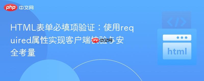 HTML表单必填项验证：使用required属性实现客户端校验与安全考量