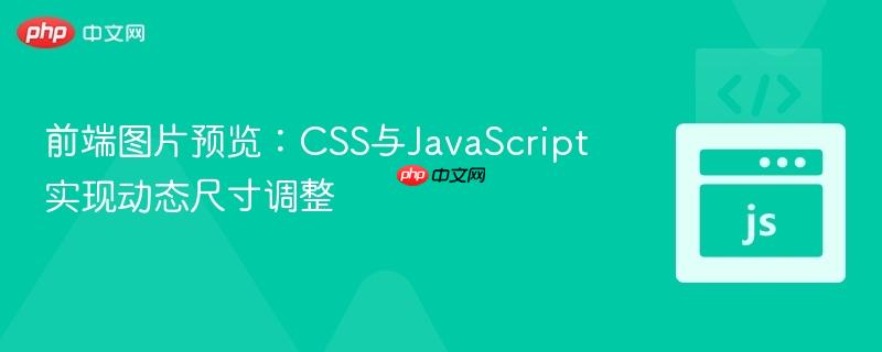 前端图片预览：CSS与JavaScript实现动态尺寸调整