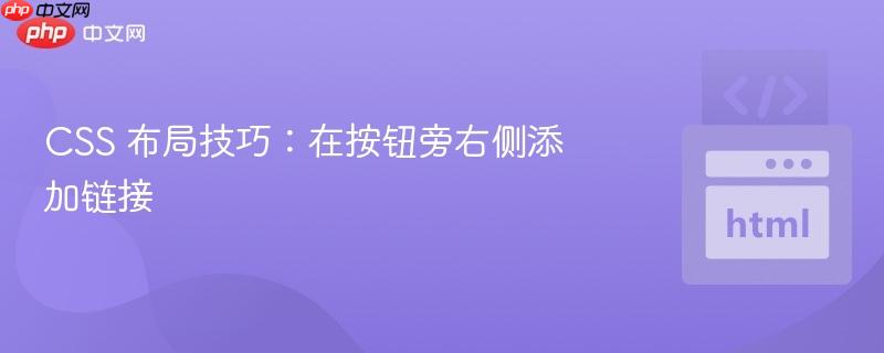 CSS 布局技巧：在按钮旁右侧添加链接