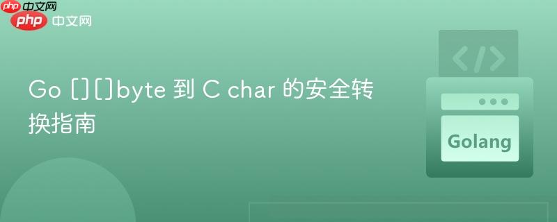Go [][]byte 到 C char 的安全转换指南