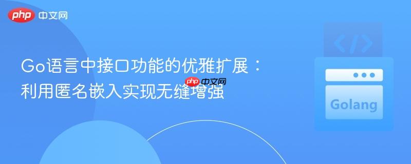 Go语言中接口功能的优雅扩展：利用匿名嵌入实现无缝增强