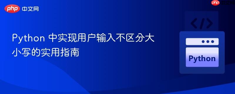 Python 中实现用户输入不区分大小写的实用指南