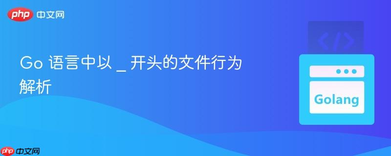 Go 语言中以 _ 开头的文件行为解析