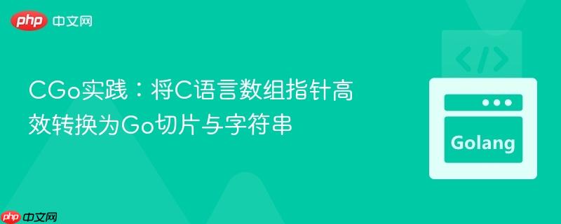 CGo实践：将C语言数组指针高效转换为Go切片与字符串