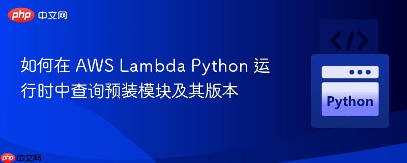 如何在 AWS Lambda Python 运行时中查询预装模块及其版本