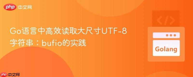 Go语言中高效读取大尺寸UTF-8字符串：bufio的实践