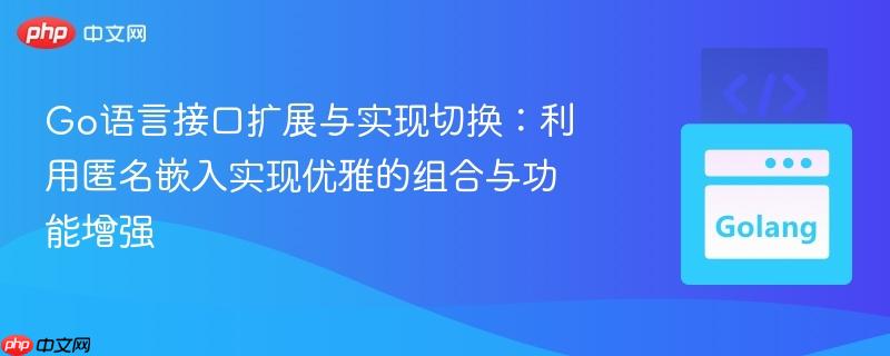Go语言接口扩展与实现切换：利用匿名嵌入实现优雅的组合与功能增强
