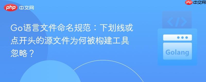 Go语言文件命名规范：下划线或点开头的源文件为何被构建工具忽略？