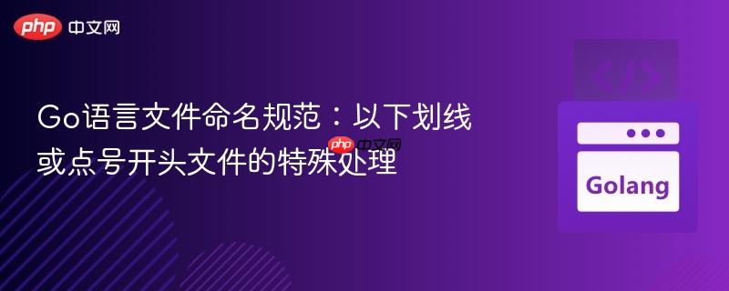 Go语言文件命名规范：以下划线或点号开头文件的特殊处理