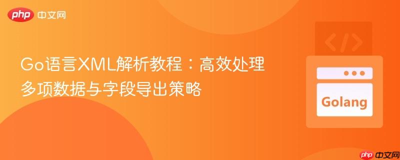 Go语言XML解析教程：高效处理多项数据与字段导出策略