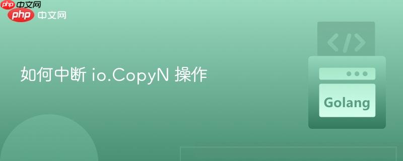 如何中断 io.CopyN 操作