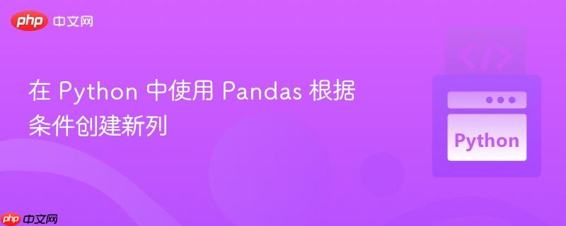 在 Python 中使用 Pandas 根据条件创建新列