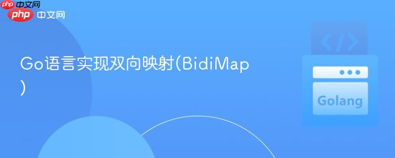 Go语言实现双向映射(BidiMap)