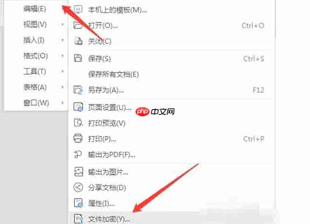 WPS Office 2019怎么加密文件-WPS Office 2019加密文件的方法