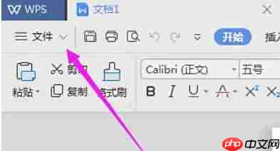 WPS Office 2019怎么加密文件-WPS Office 2019加密文件的方法